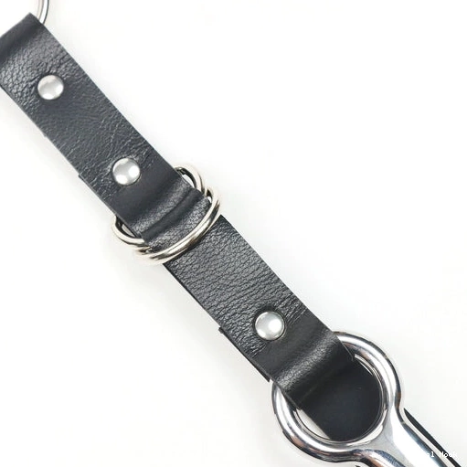 5853 Collar Kinky EverydayUse with Anal Hook Leash and 1211